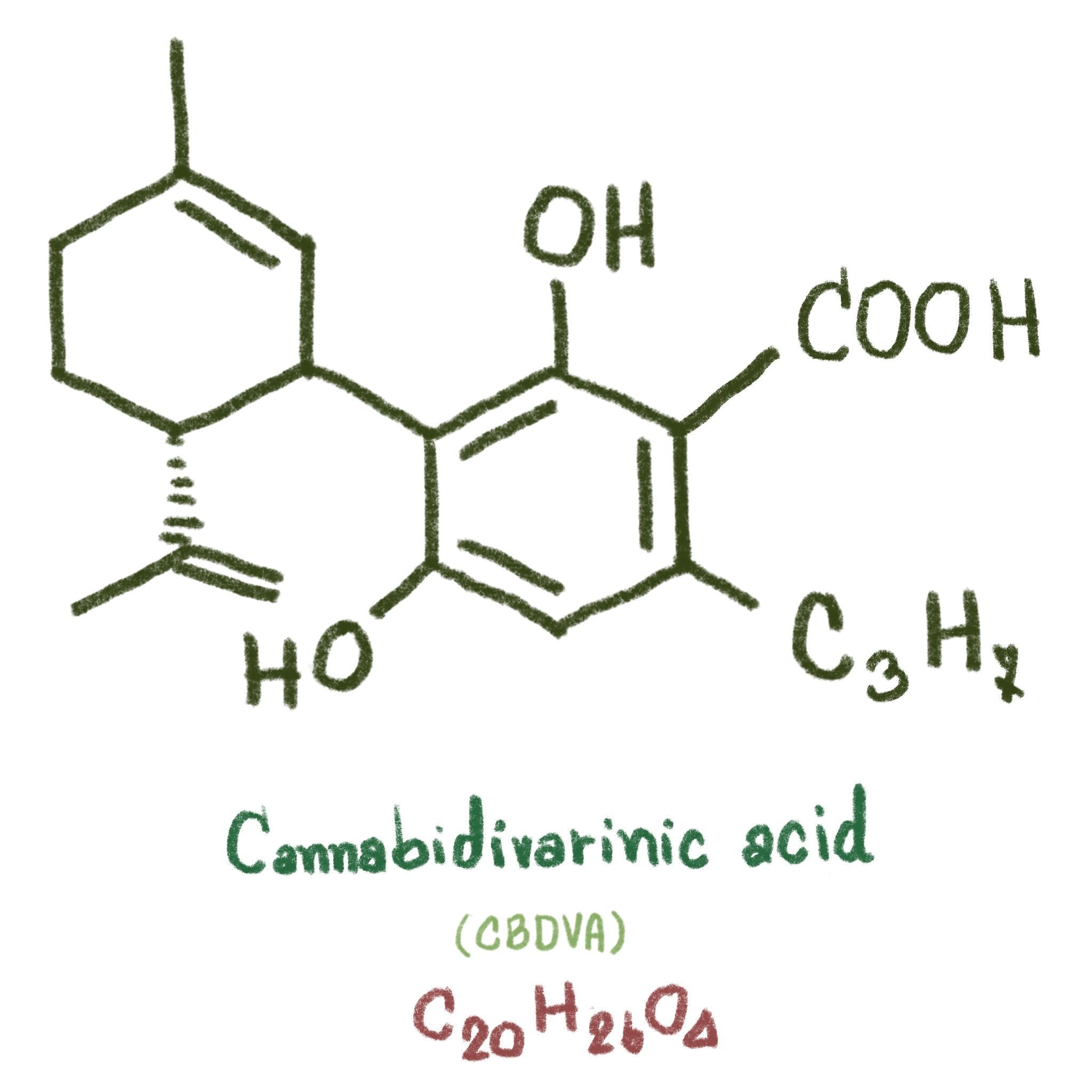 CBDVA (Cannabidivarinic Acid) Guide - Secret Nature