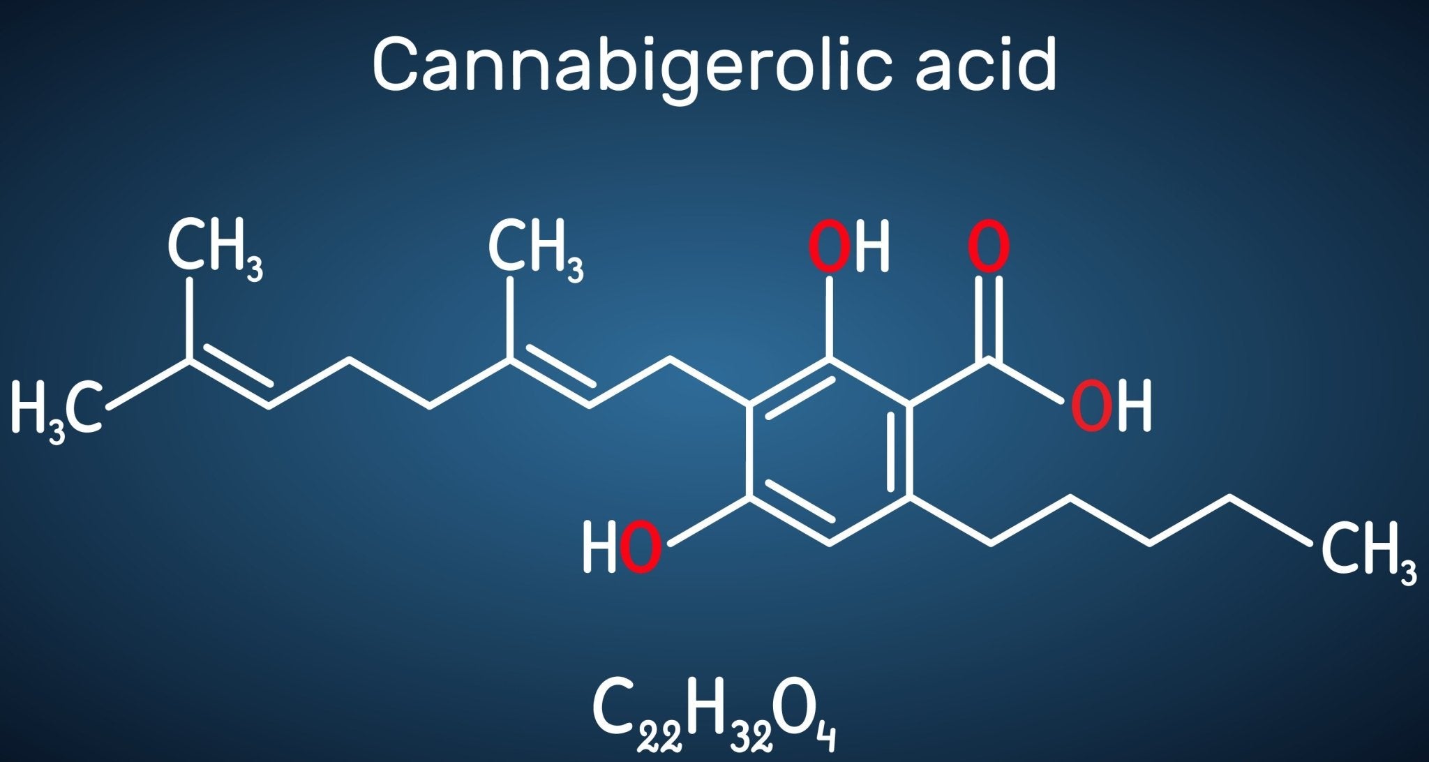 CBGA (Cannabigerolic Acid) Guide - Secret Nature