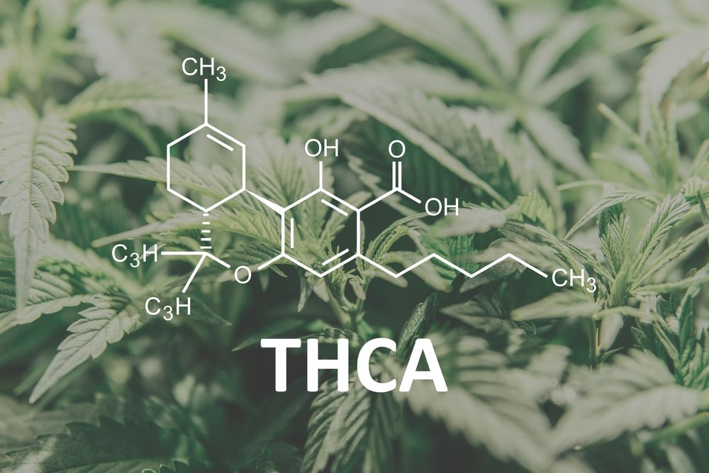 What is THCA? - Secret Nature