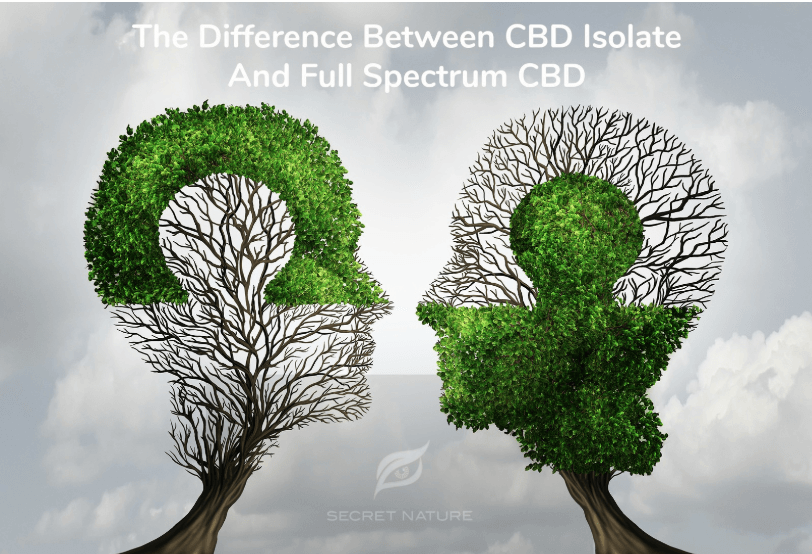 Full-Spectrum CBD vs. Isolate CBD - Secret Nature