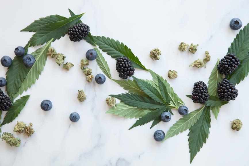 Why Secret Nature Cannabis-Derived Terpenes Provide the Best Effects on the Market - Secret Nature