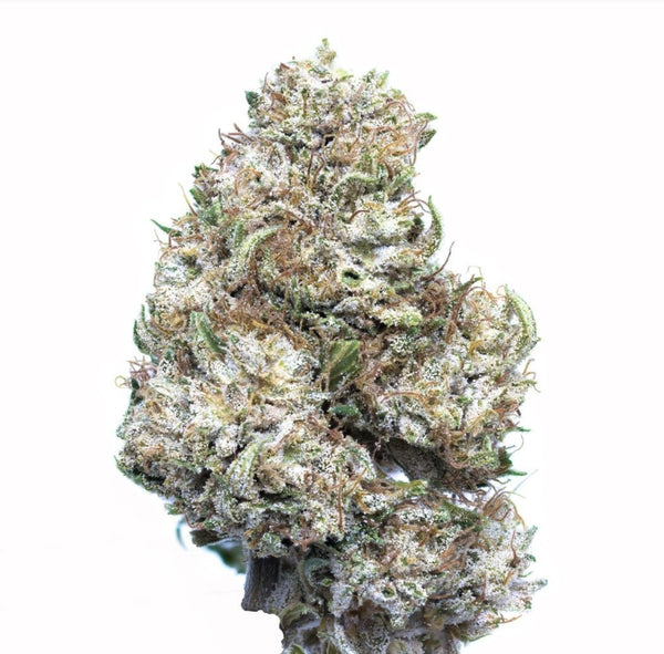 CBG Flower - 15.4% CBG, 15.9% Total Cannabinoids, Nutty, Earthy, Haze, Sativa, Focus, Indoor Grown - Secret Nature